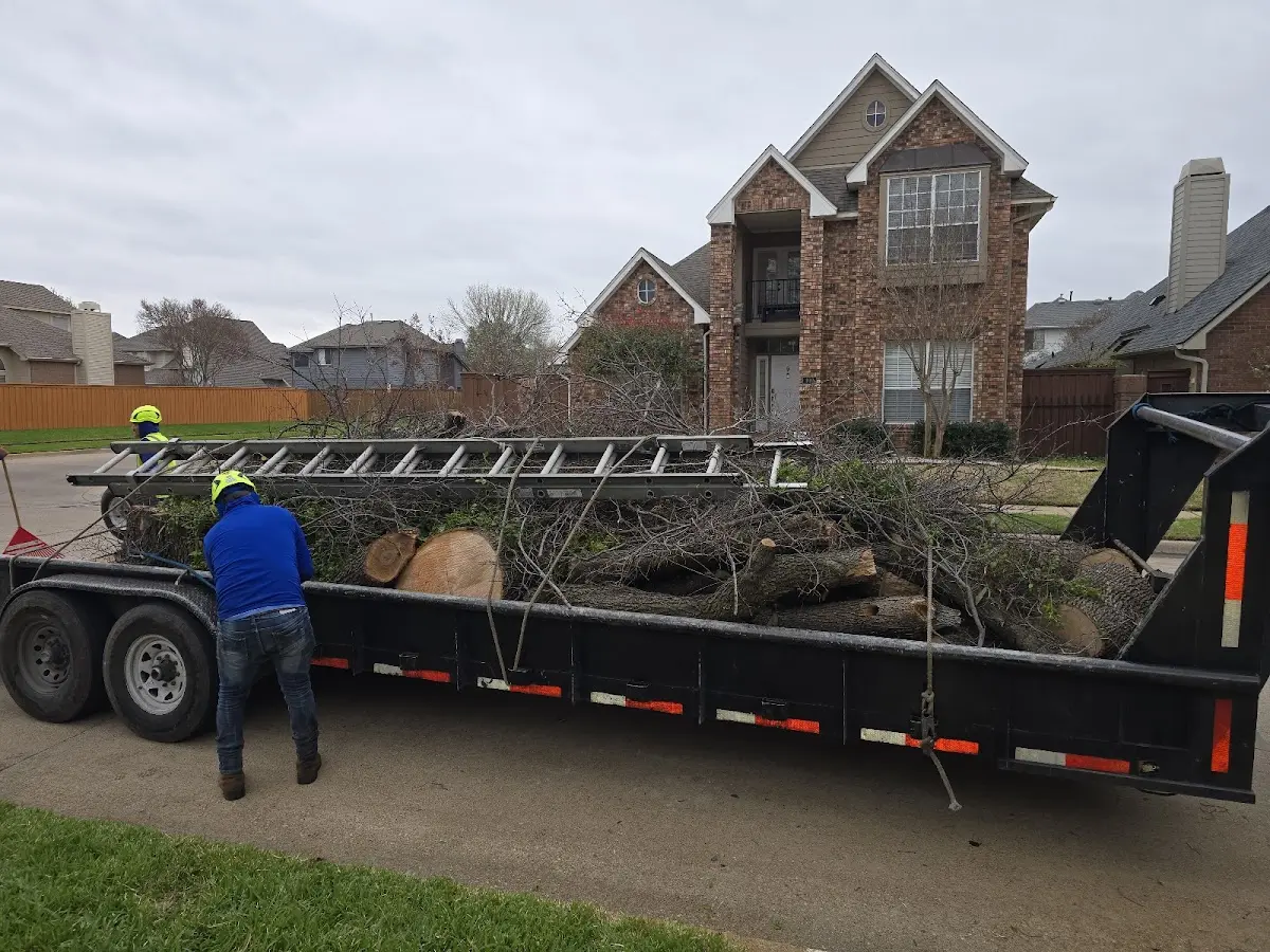 Expert Lot Clearing with proper safety equipment in Penney Farms
